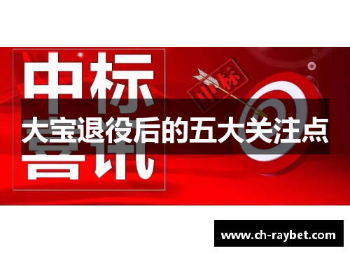 大宝退役后的五大关注点